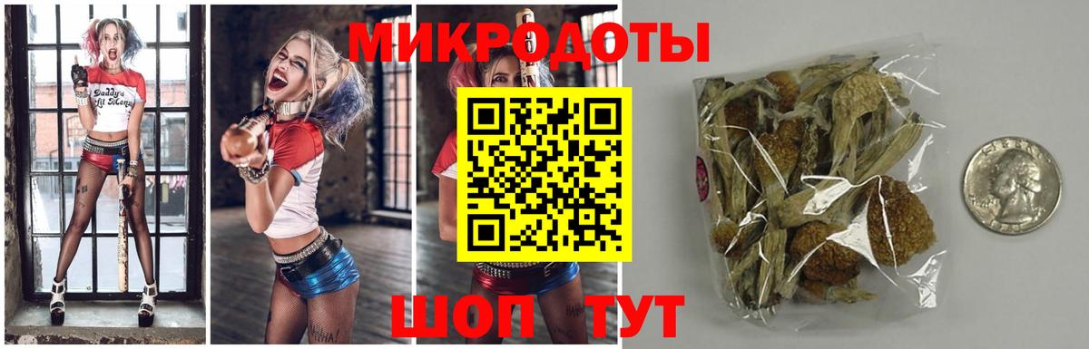 что такое   Вход с VPN  Чистополь  Псилоцибиновые грибы GOLDEN TEACHER 